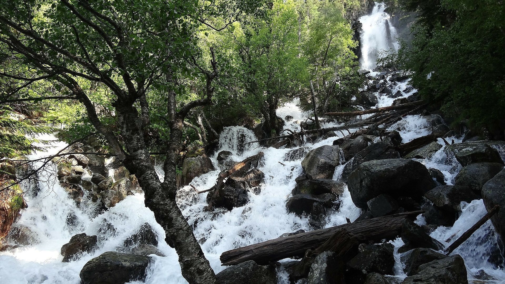 une cascade dans une forêt avec des arbres et des rochers