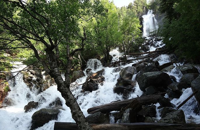 une cascade dans une forêt avec des arbres et des rochers
