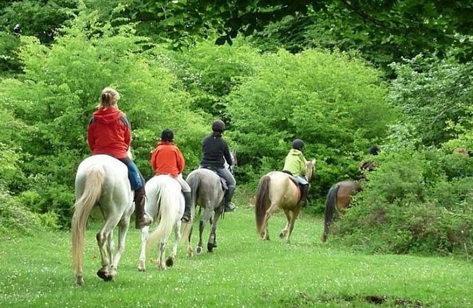 un groupe de personnes chevauchant des chevaux à travers un champ.
