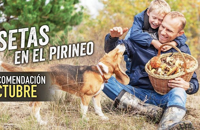 Un homme et un garçon cueillent des champignons dans les Pyrénées