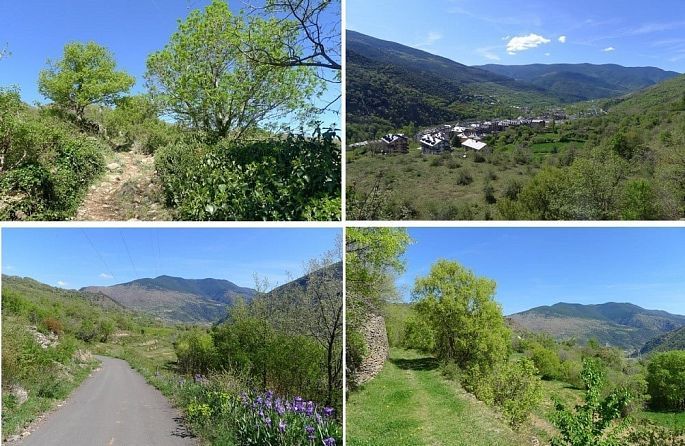 un collage de quatre photos d'un village de montagne