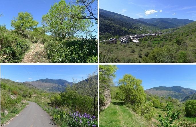 un collage de quatre photos d'un village de montagne
