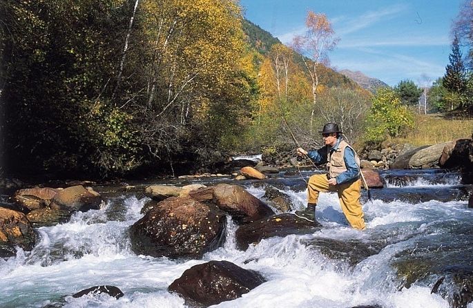 Un homme tient une canne à pêche pendant qu'il pêche dans une rivière