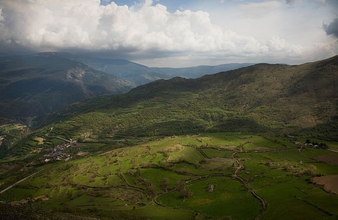 Les montagnes sont couvertes d'herbe et d'arbres