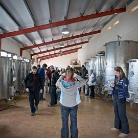 BATTLLIU DE SORT WINERY