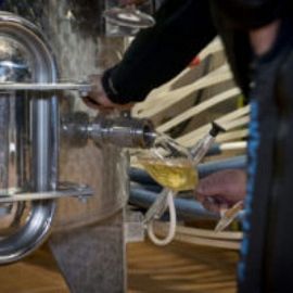 BATTLLIU DE SORT WINERY