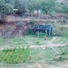 HERBES DES HAUTES PYRÉNÉES