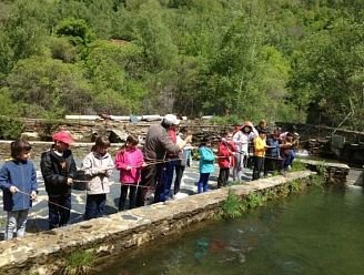 FERME PISCICOLE DE TAVASCAN